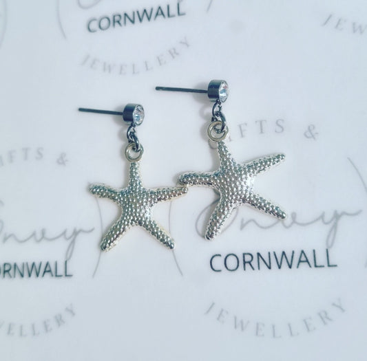 Silver Starfish